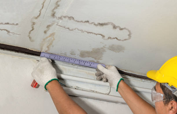 Reliable Water Damage contractor in Junction City, WI by Water Damage Irwin